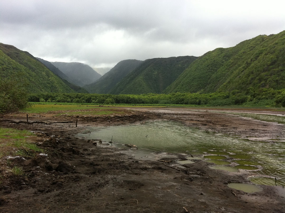 View of Pololu Valley from the bottom
