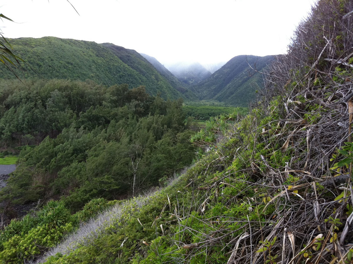Pololu Valley view from the trail